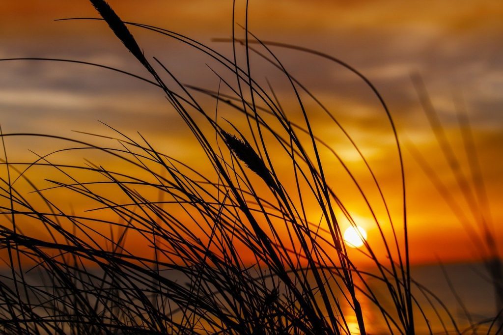 Top 10 Activities to Enjoy at Magnolia Beach for Summer Activities